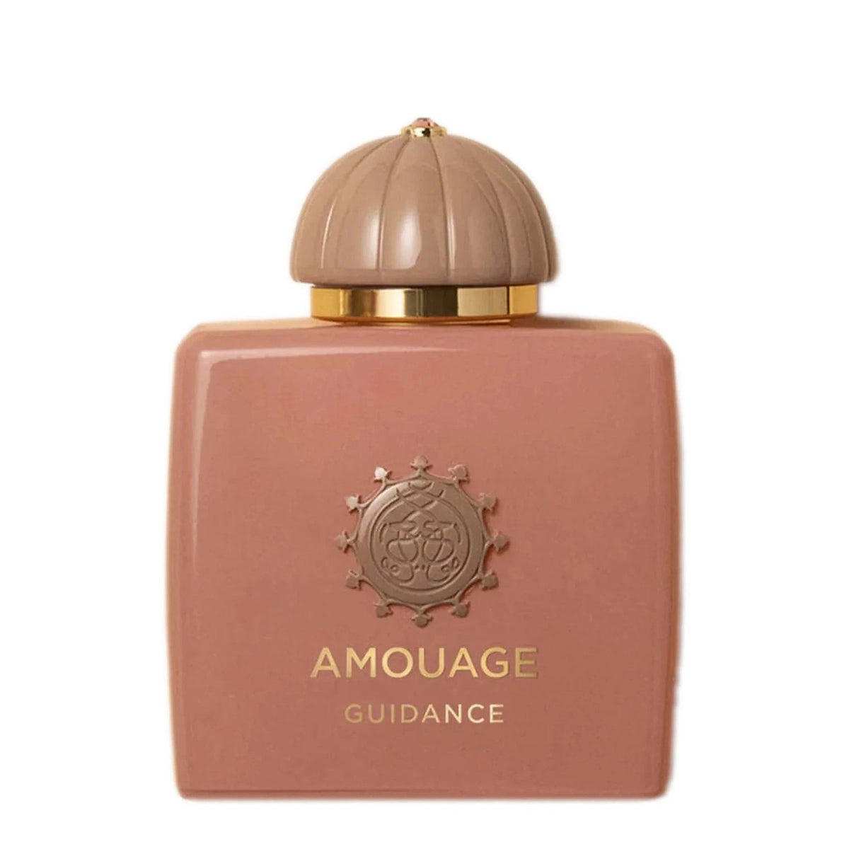 Amouage Guidance Eau de Parfum 100ml | Award-Winning Unisex Luxury Perfume | Rose, Pear, Saffron & Sandalwood | Free Delivery All Over USA