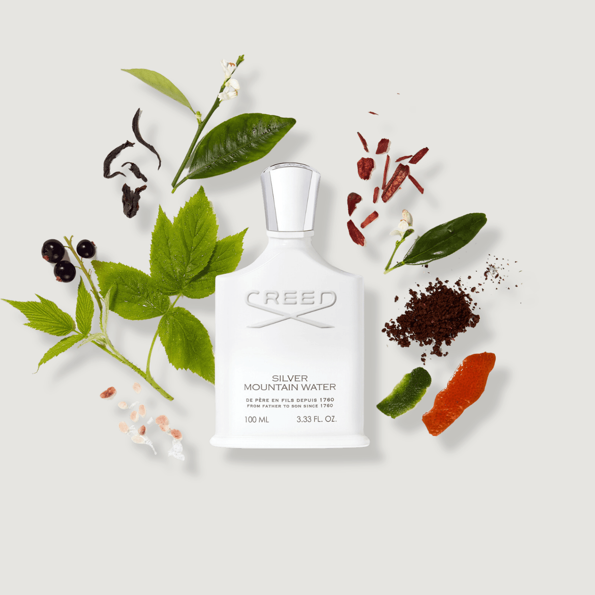 Creed Silver Mountain Water Eau de Parfum 100ml – Unisex Fragrance | USA